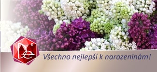 Blahopřejeme Haně Křížové k narozeninám!