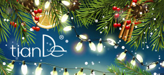 Merry Christmas and Happy New Year 2022!