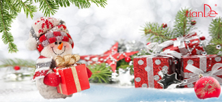 Dealerská centra TianDe přejí veselé Vánoce a šťastný nový rok!