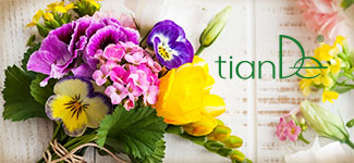 Blahopřejeme k Mezinárodnímu dni žen, ke svátku jara, krásy, ženskosti a zářivých barev!